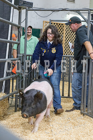2017_rogers_county_fair-9749