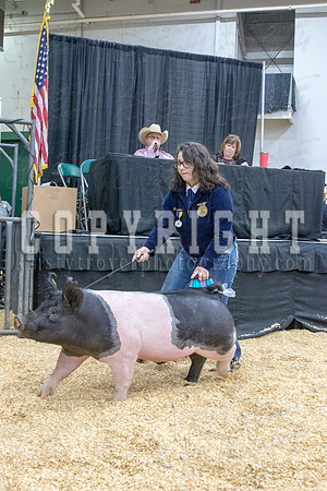 2017_rogers_county_fair-9750