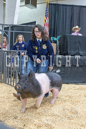 2017_rogers_county_fair-9751