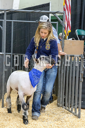 2017_rogers_county_fair-9752