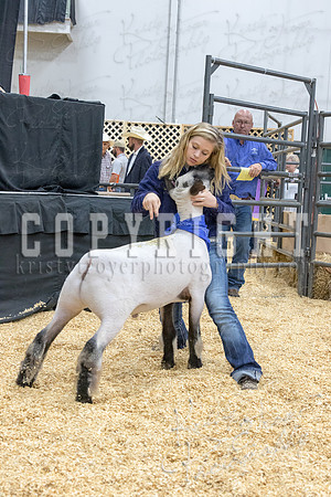 2017_rogers_county_fair-9753