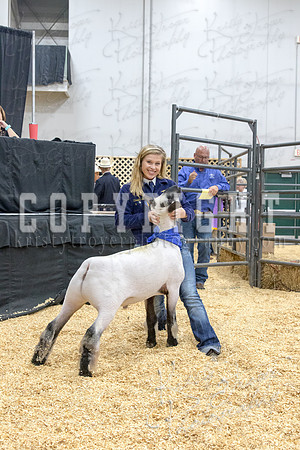 2017_rogers_county_fair-9754
