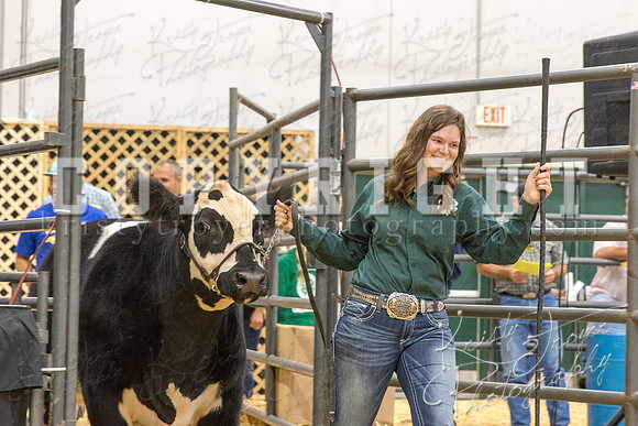 2017_rogers_county_fair-9756