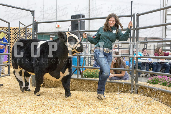 2017_rogers_county_fair-9757