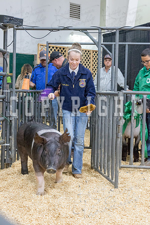 2017_rogers_county_fair-9763