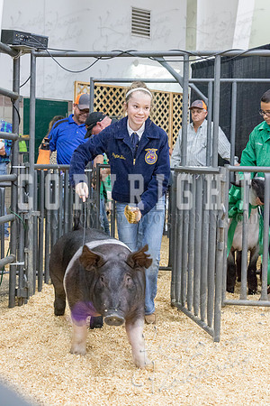 2017_rogers_county_fair-9764