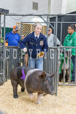 2017_rogers_county_fair-9765