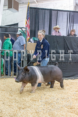 2017_rogers_county_fair-9766