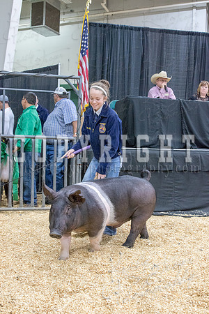2017_rogers_county_fair-9767