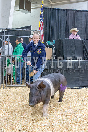 2017_rogers_county_fair-9768