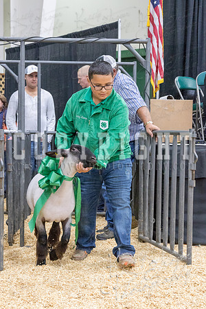 2017_rogers_county_fair-9769