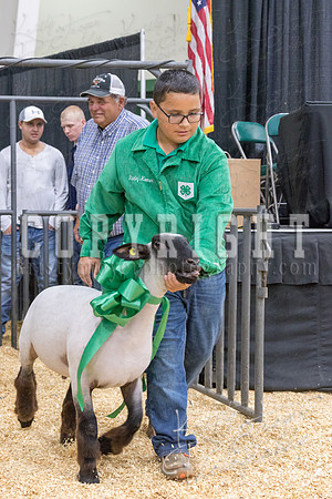 2017_rogers_county_fair-9770