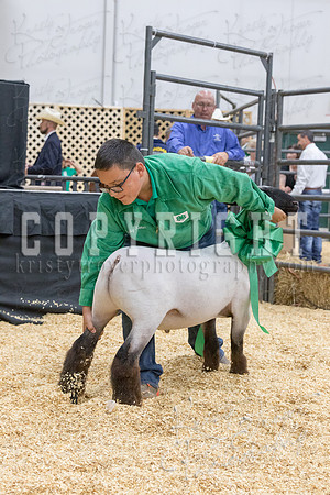 2017_rogers_county_fair-9771