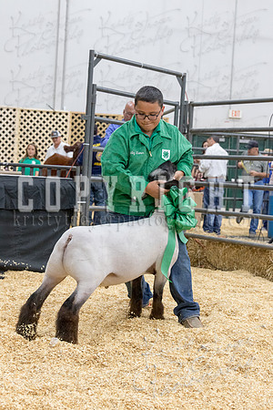 2017_rogers_county_fair-9772