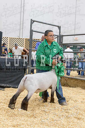 2017_rogers_county_fair-9773