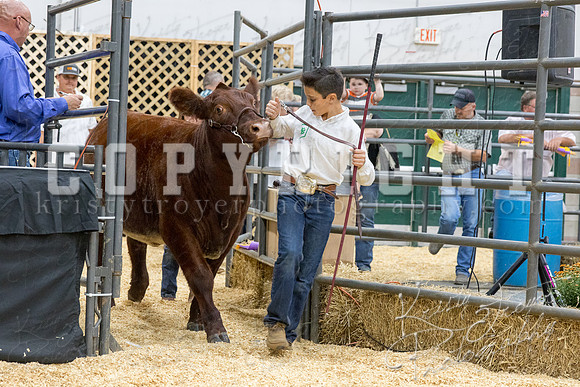 2017_rogers_county_fair-9774