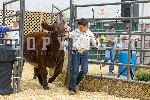 2017_rogers_county_fair-9775