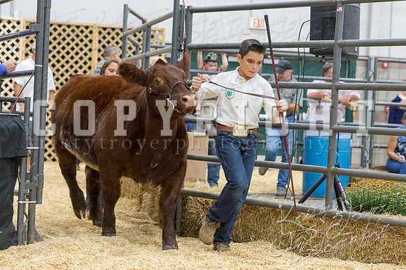 2017_rogers_county_fair-9776