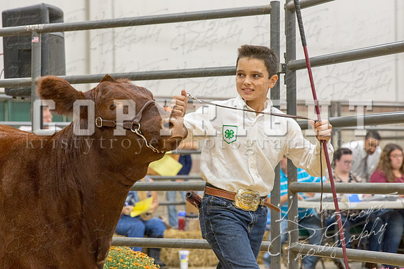 2017_rogers_county_fair-9777