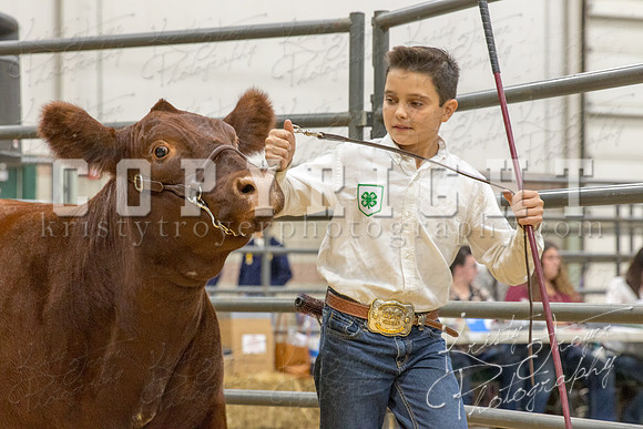 2017_rogers_county_fair-9778