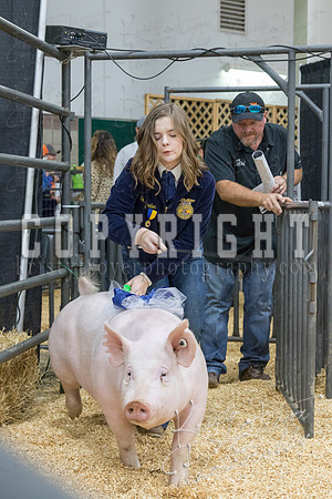 2017_rogers_county_fair-9779