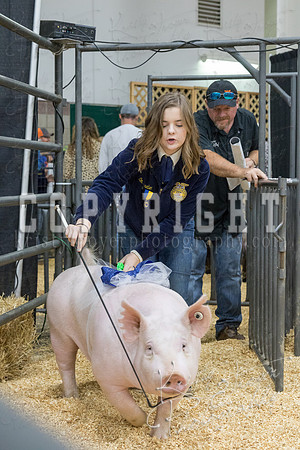 2017_rogers_county_fair-9780