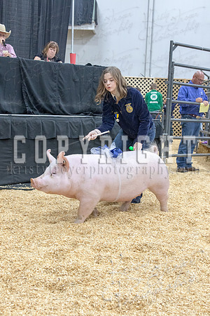 2017_rogers_county_fair-9781