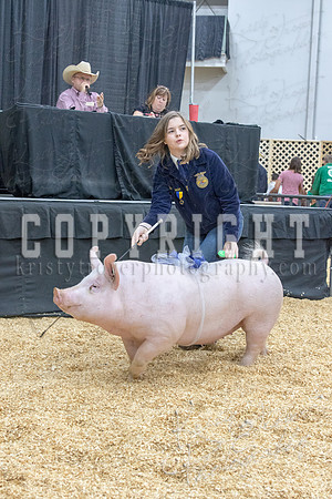 2017_rogers_county_fair-9782