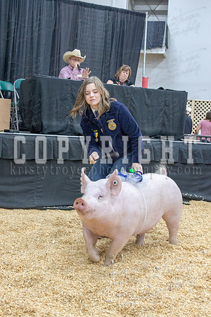 2017_rogers_county_fair-9783