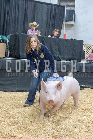 2017_rogers_county_fair-9784