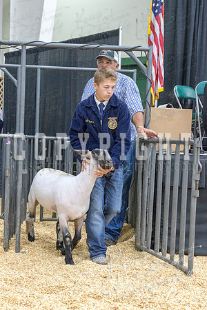 2017_rogers_county_fair-9785