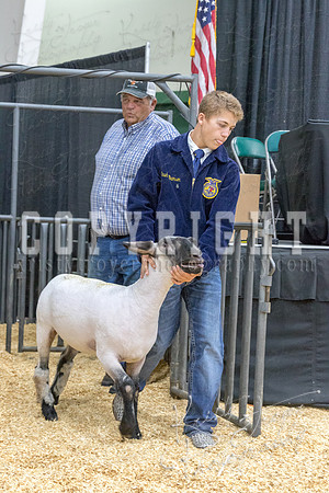 2017_rogers_county_fair-9786