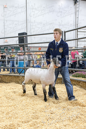 2017_rogers_county_fair-9787