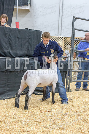 2017_rogers_county_fair-9789