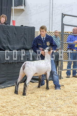 2017_rogers_county_fair-9790