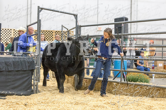 2017_rogers_county_fair-9791