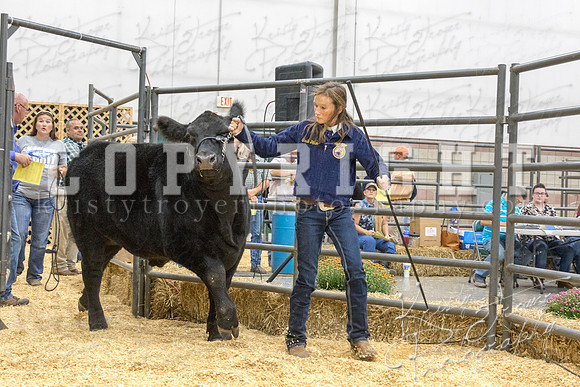 2017_rogers_county_fair-9792
