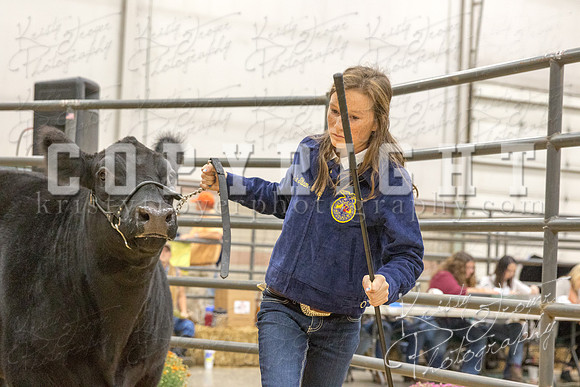 2017_rogers_county_fair-9793