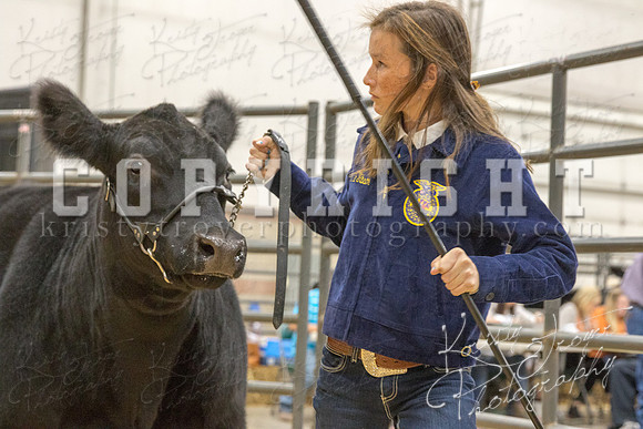 2017_rogers_county_fair-9794