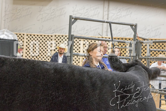 2017_rogers_county_fair-9795