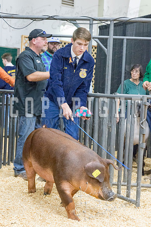 2017_rogers_county_fair-9796