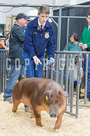 2017_rogers_county_fair-9797