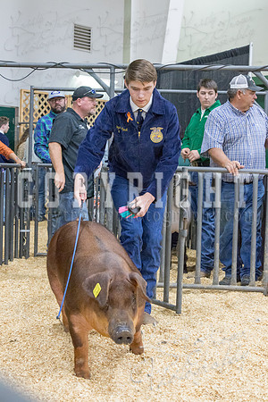 2017_rogers_county_fair-9798