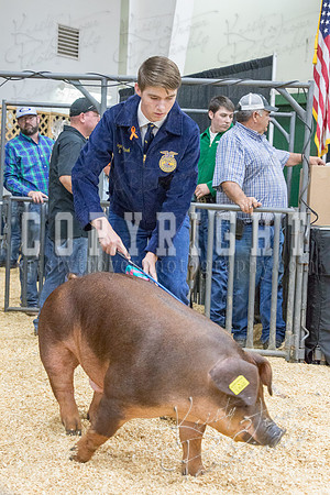 2017_rogers_county_fair-9799