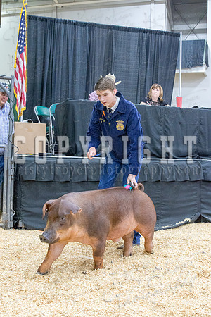 2017_rogers_county_fair-9800