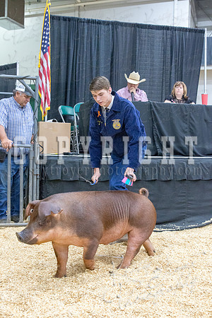 2017_rogers_county_fair-9801