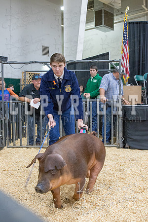 2017_rogers_county_fair-9803