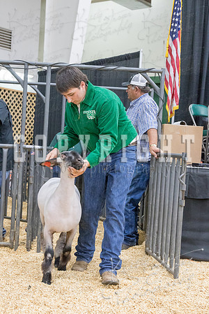 2017_rogers_county_fair-9804