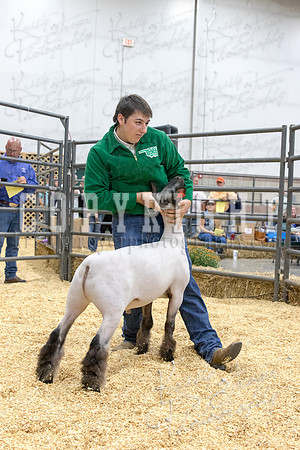 2017_rogers_county_fair-9806