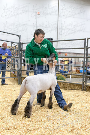 2017_rogers_county_fair-9807